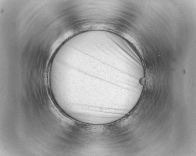 X0000088581090200706221310