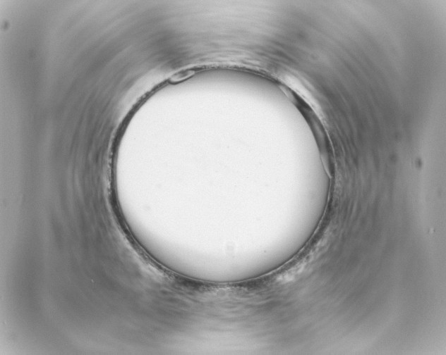 X0000088581093200706221310