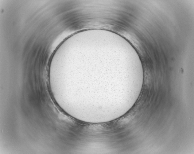 X0000088581094200706221310