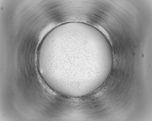 X0000088581096200706221310