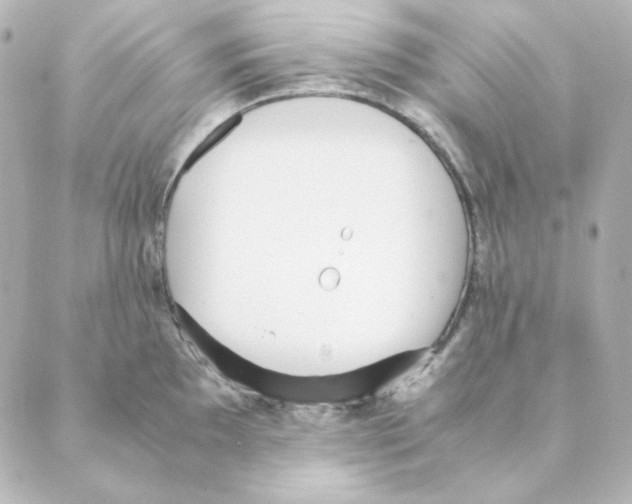 X0000088581097200706221310