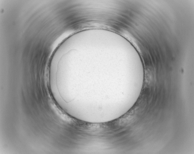 X0000088581098200706221310