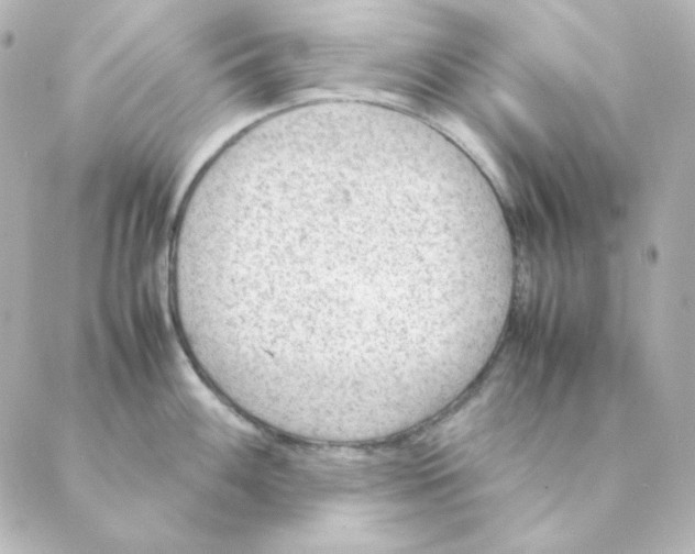 X0000088581100200706221310