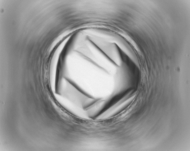 X0000088581101200706221310