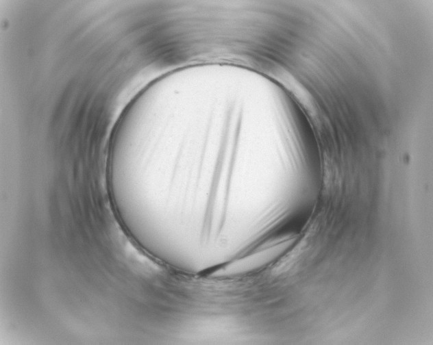 X0000088581102200706221310