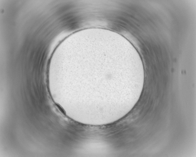 X0000088581104200706221310