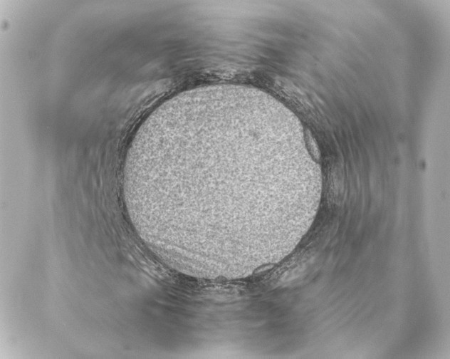 X0000088581105200706221309