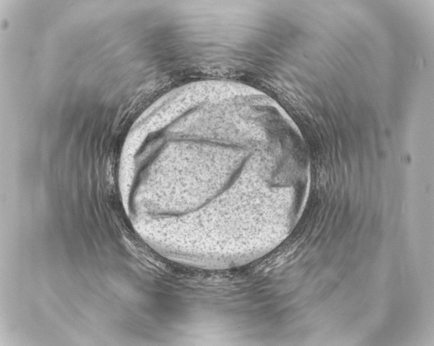 X0000088581106200706221309