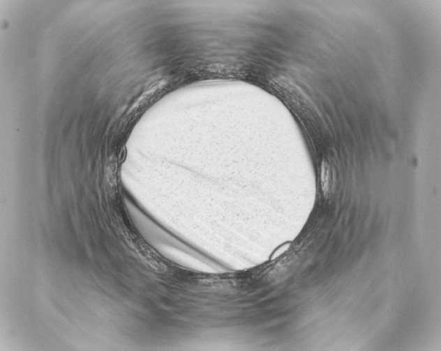 X0000088581107200706221309