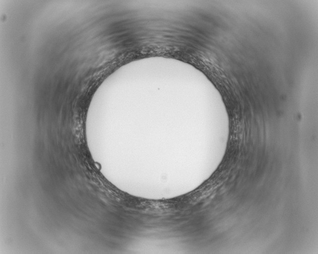 X0000088581109200706221309