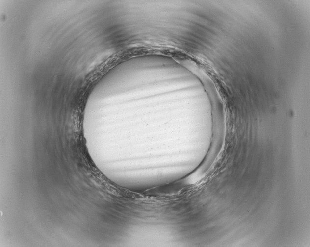 X0000088581110200706221309