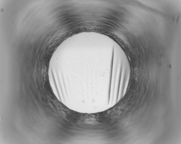 X0000088581111200706221309