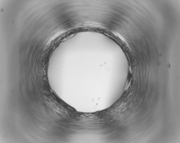 X0000088581112200706221309