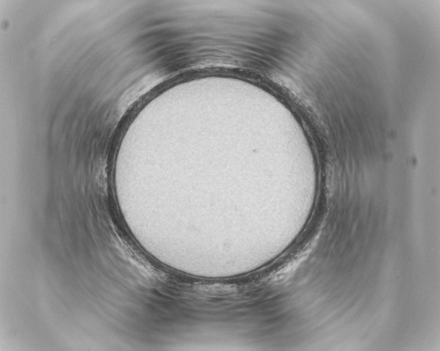 X0000088581113200706221309