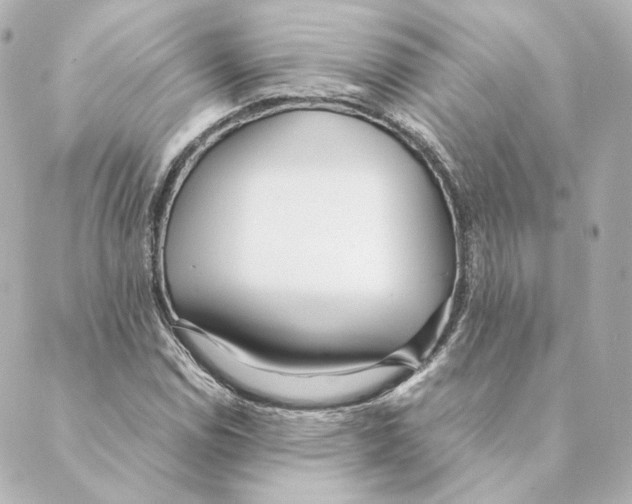 X0000088581114200706221309