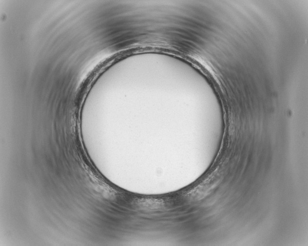 X0000088581115200706221309