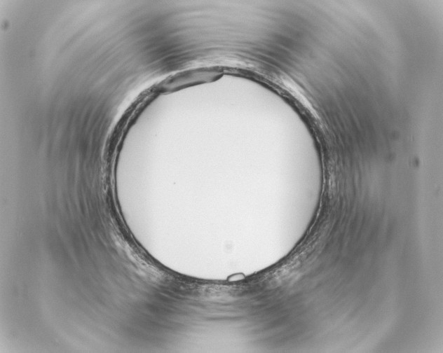 X0000088581116200706221309