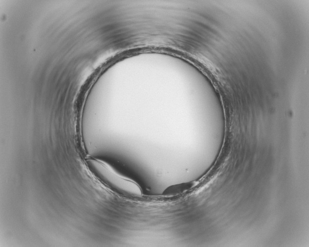 X0000088581118200706221309