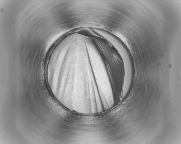 X0000088581120200706221309