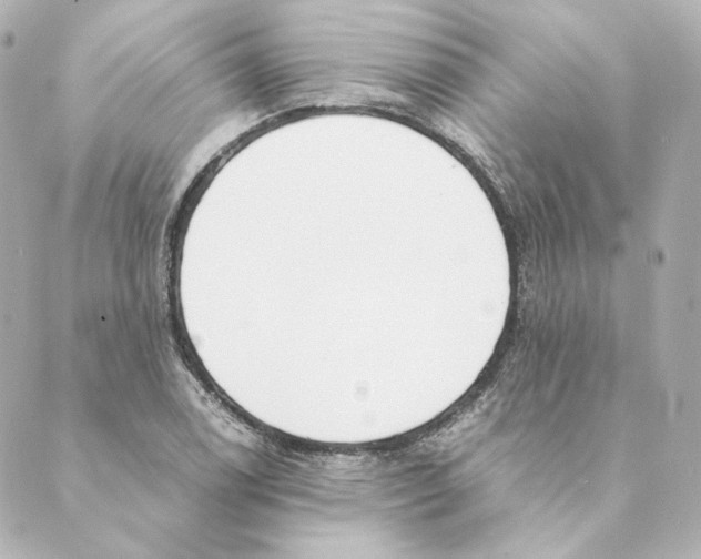 X0000088581122200706221309