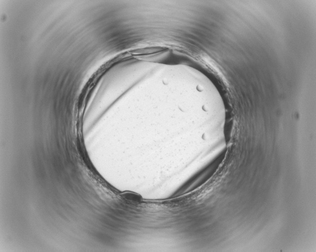 X0000088581124200706221309