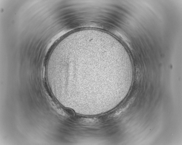 X0000088581125200706221309