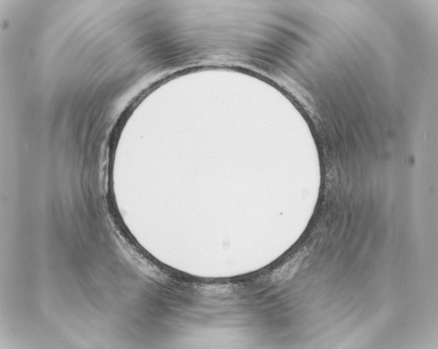 X0000088581126200706221309