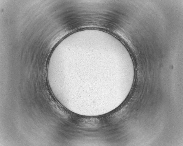 X0000088581129200706221309