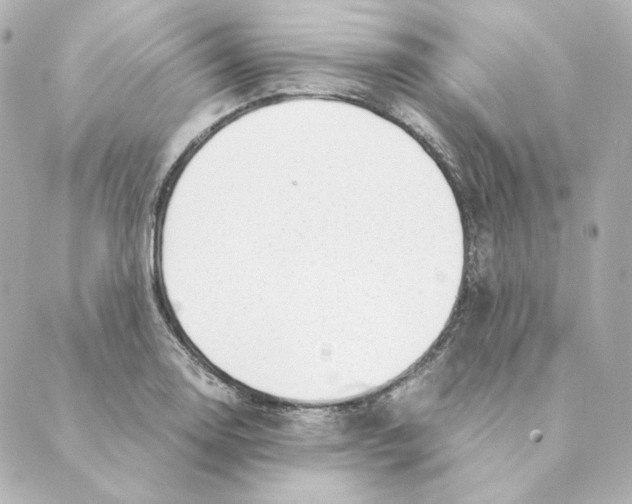 X0000088581130200706221309