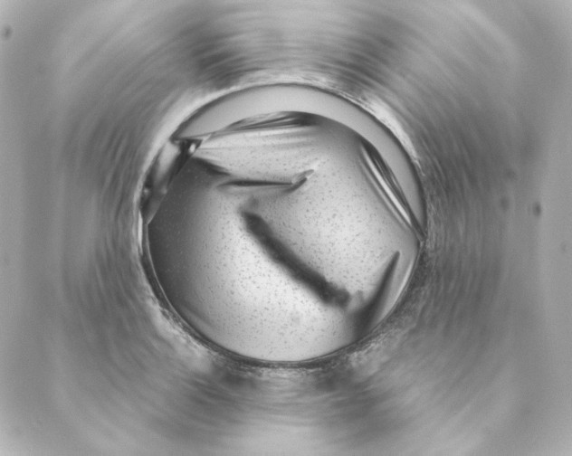 X0000088581132200706221309