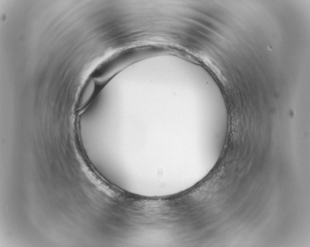 X0000088581134200706221309