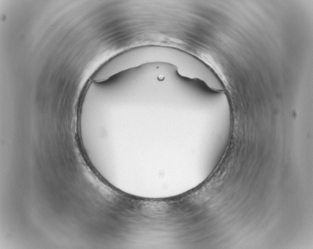 X0000088581136200706221309