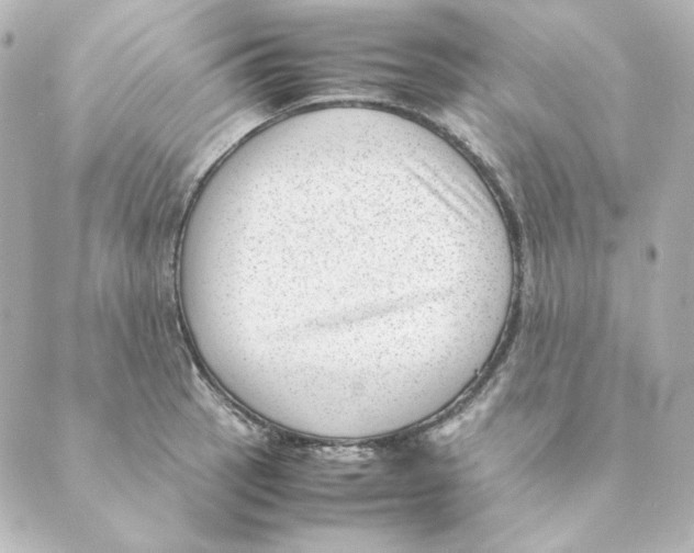 X0000088581137200706221309