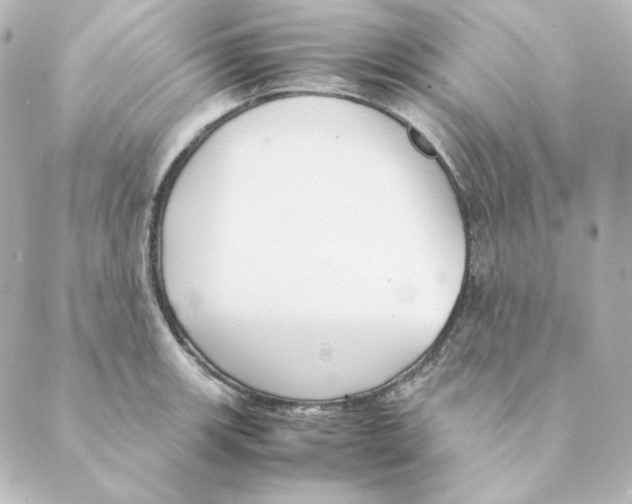 X0000088581139200706221310