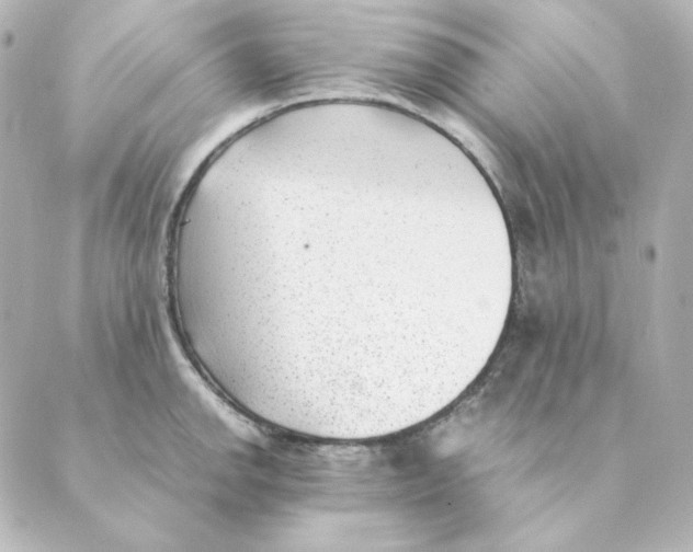 X0000088581142200706221310