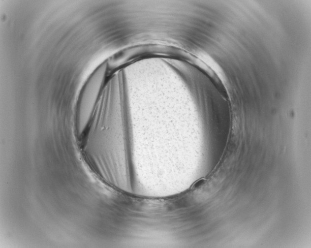 X0000088581144200706221310