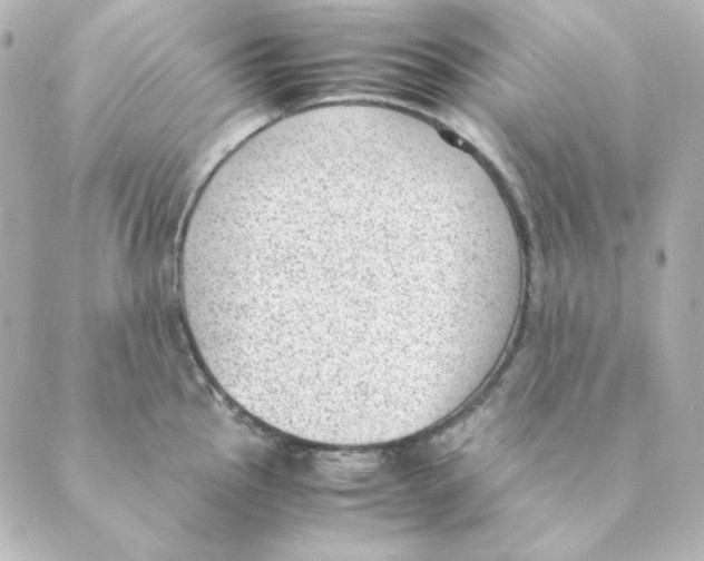 X0000088581145200706221310