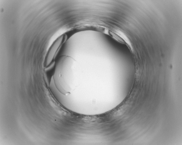 X0000088581146200706221310