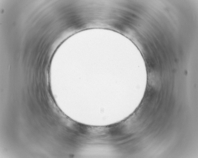 X0000088581150200706221310