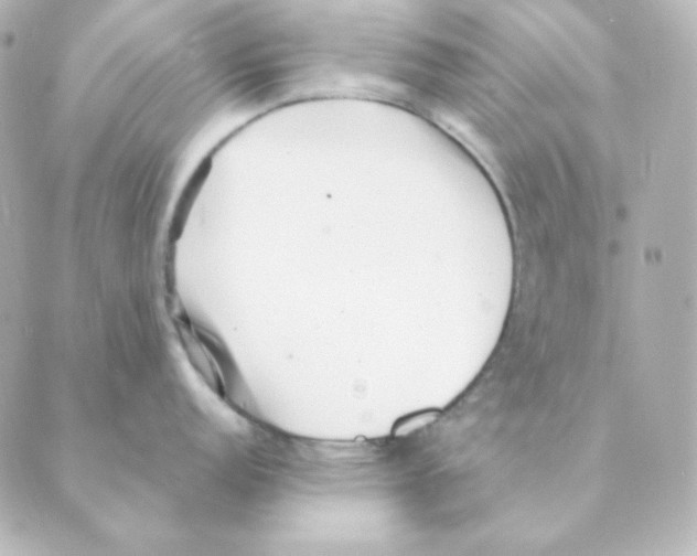 X0000088581152200706221310