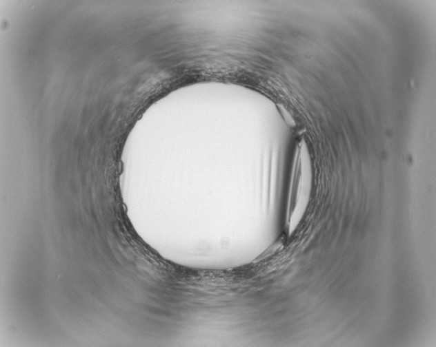 X0000088581153200706221309