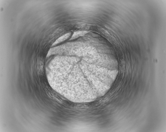 X0000088581154200706221309