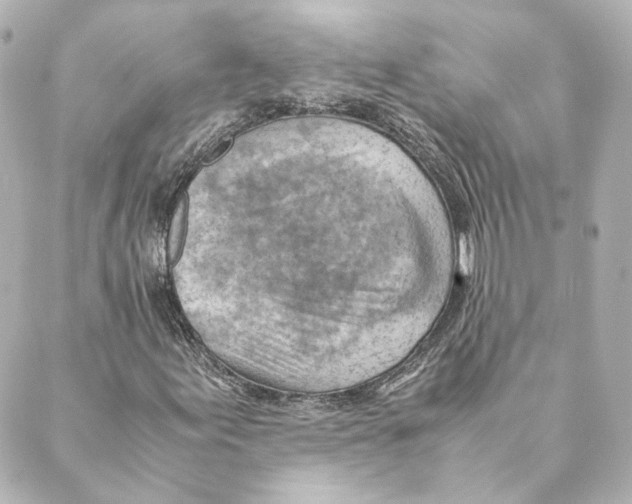 X0000088581155200706221309