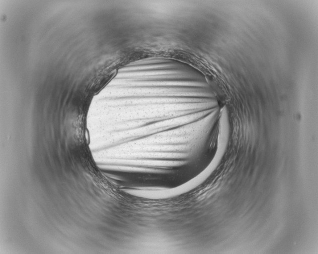 X0000088581156200706221309