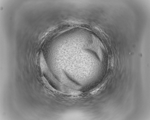 X0000088581157200706221309