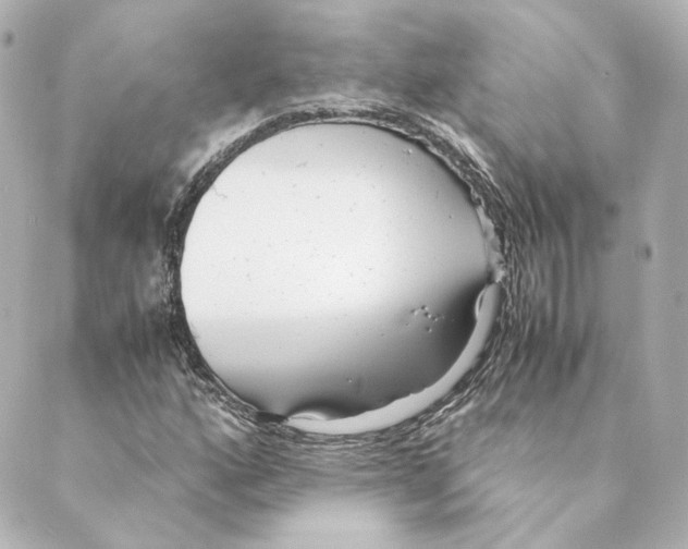 X0000088581160200706221309