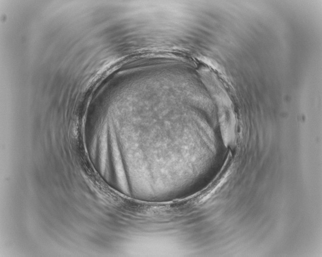 X0000088581161200706221309