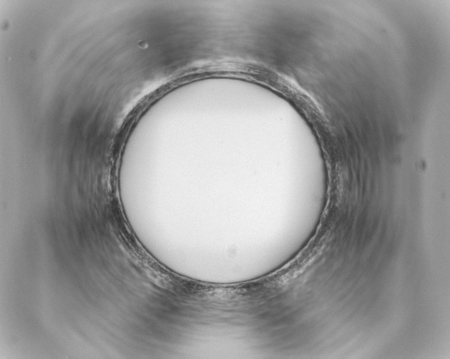 X0000088581166200706221309