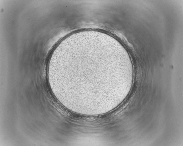 X0000088581167200706221309