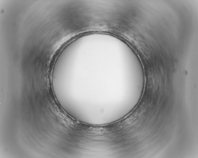 X0000088581168200706221309